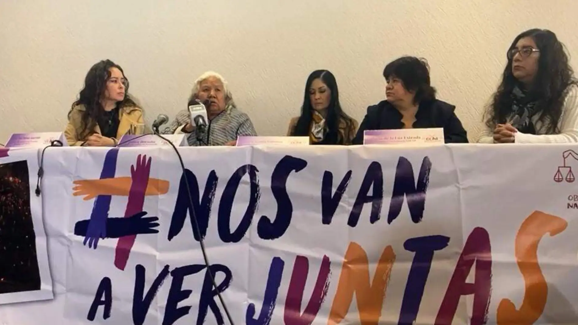 mujeres ley Observatorio Ciudadano Nacional del Feminicidio